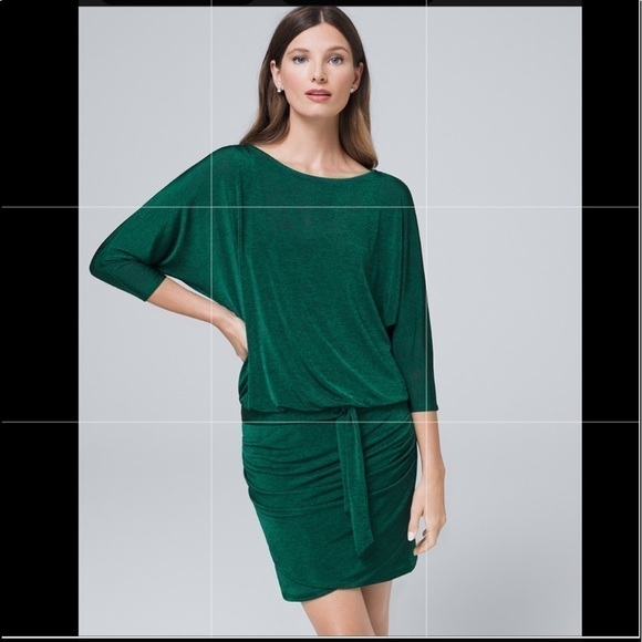 WHBM Space  Blouson Dress Size XXSP - Picture 6 of 16